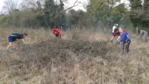 Bin Brook Meadow, Coton Reserve