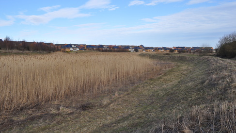 New Research Project gets underway:  Delivering and Evaluating Multiple Flood Risk Benefits in Blue-Green Cities