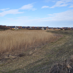 New Research Project gets underway:  Delivering and Evaluating Multiple Flood Risk Benefits in Blue-Green Cities