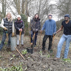Planting trees in the snow - Bin Brook Meadow