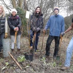 Planting trees in the snow - Bin Brook Meadow