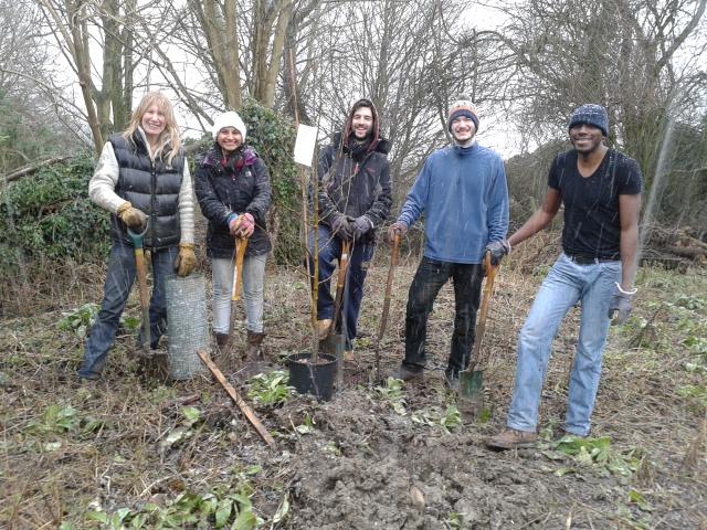 Planting trees in the snow - Bin Brook Meadow