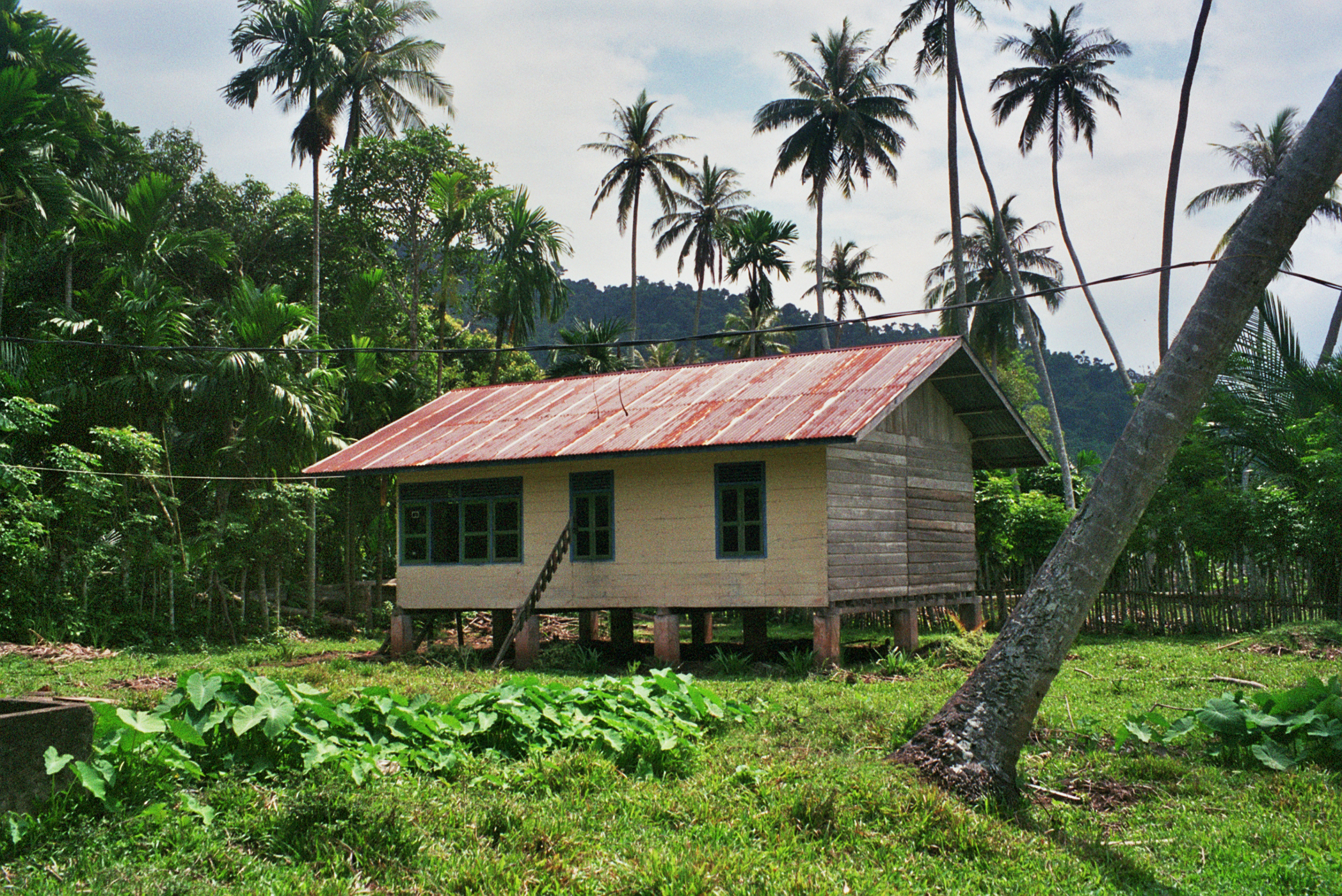 Tropical Housing